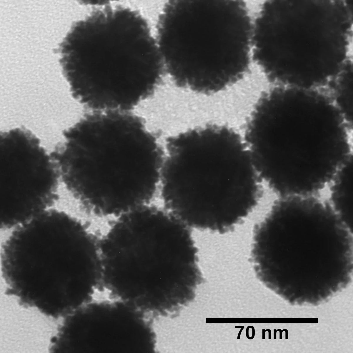 Platinum Nanoparticles - Citrate, 0.05 mg/mL (5 nm - 70 nm; 50 mL – 1 L)