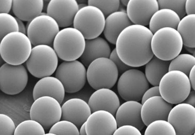 100mL Bottle of 30 μm Ezy-Cal Polystyrene Monosized Particles