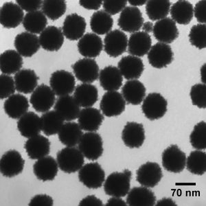 Platinum Nanoparticles - Citrate, 0.05 mg/mL (5 nm - 70 nm; 50 mL – 1 L)