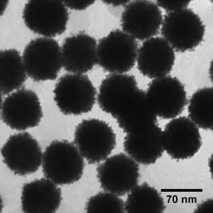 Platinum Nanoparticles - Citrate, 0.05 mg/mL (5 nm - 70 nm; 50 mL – 1 L)