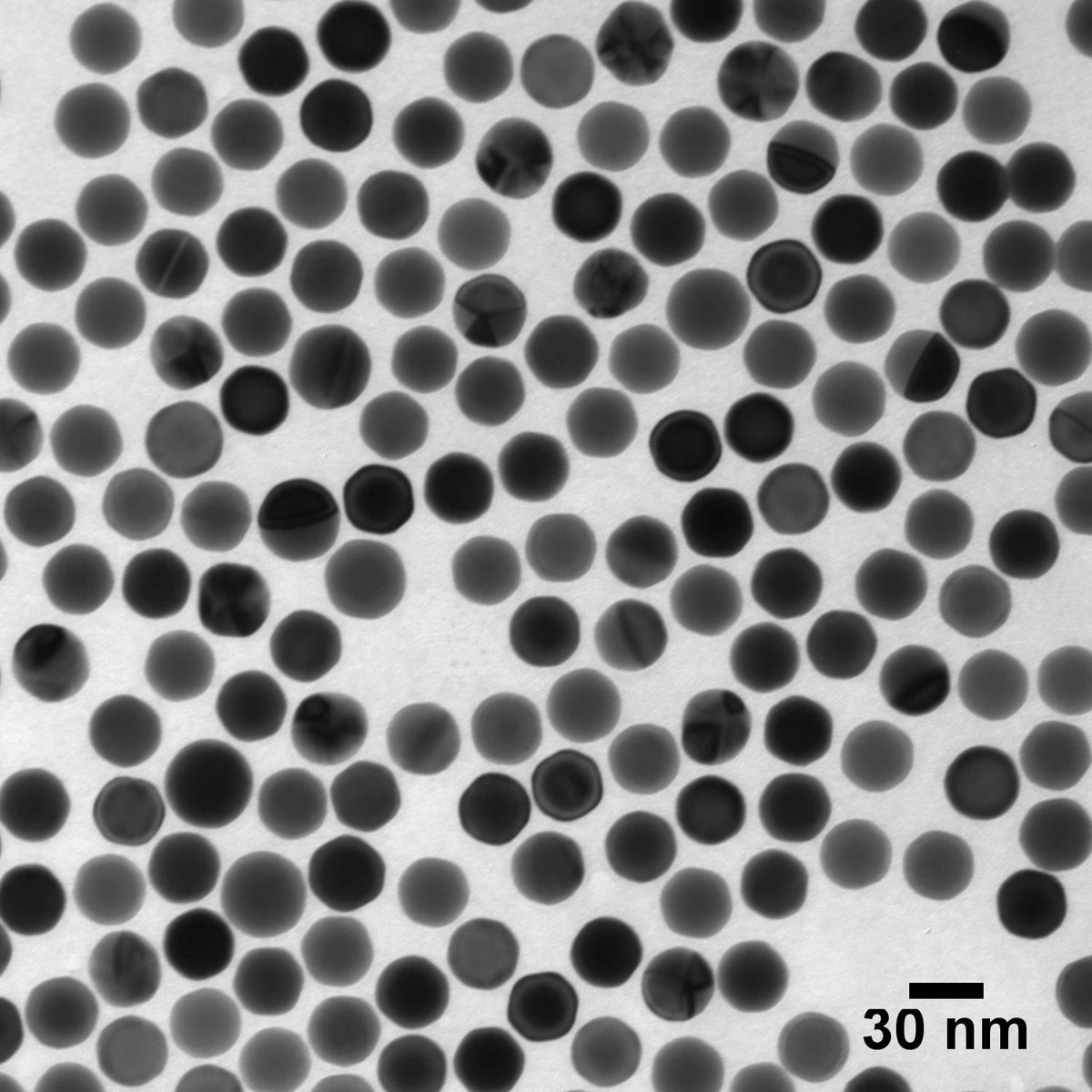 Ultra Uniform Gold Nanoparticle Standards - 1E8 p/mL, 25 mL, 30 nm - 100 nm