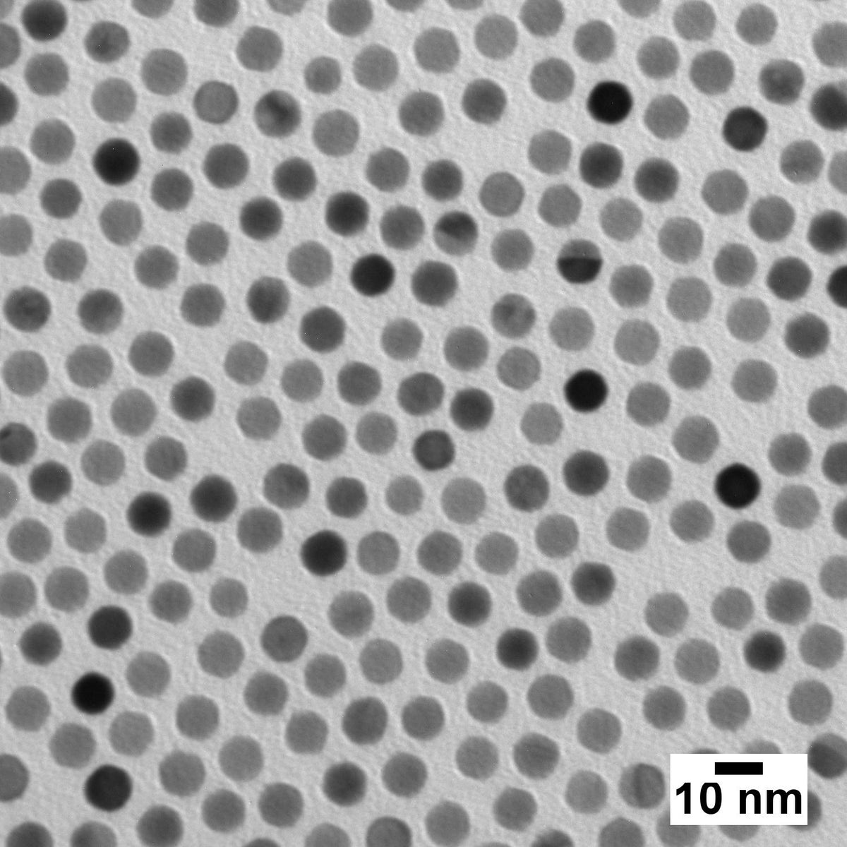 Ultra Uniform Gold - PEG-COOH Nanoparticles - 0.05 mg/mL, 10 nm - 100 nm