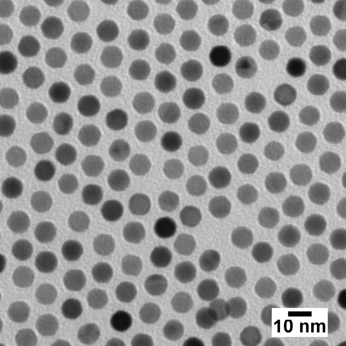 Ultra Uniform Gold - PEG-COOH Nanoparticles - 0.05 mg/mL, 10 nm - 100 nm