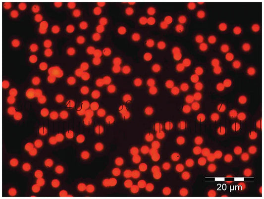 Red Dyed Uniform Polymer Microspheres (Polystyrene DVB) - Dry, 50 µm - 500 µm