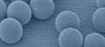 Particle Size Standards and Polystyrene Microsphere Beads