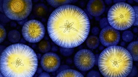 Quantum-superposition-begs-us-to-ask-What-is-real