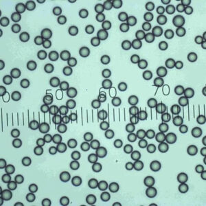 Polystyrene Microsphere Dry Powder, Particle Size Standards, BUY below