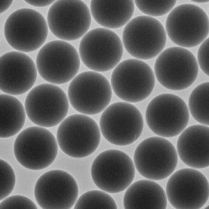 4000 Series Dry Monosized Beads (1g)