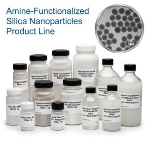 Amine-Functionalized Silica Nanoparticles