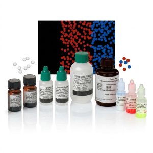 Assay & Diagnostic Functionalized Particles