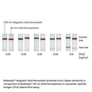 BioReady-Magnetic-Gold-Nanoshells-–-COOH-200-nm-10-OD-1-–-50-mL.