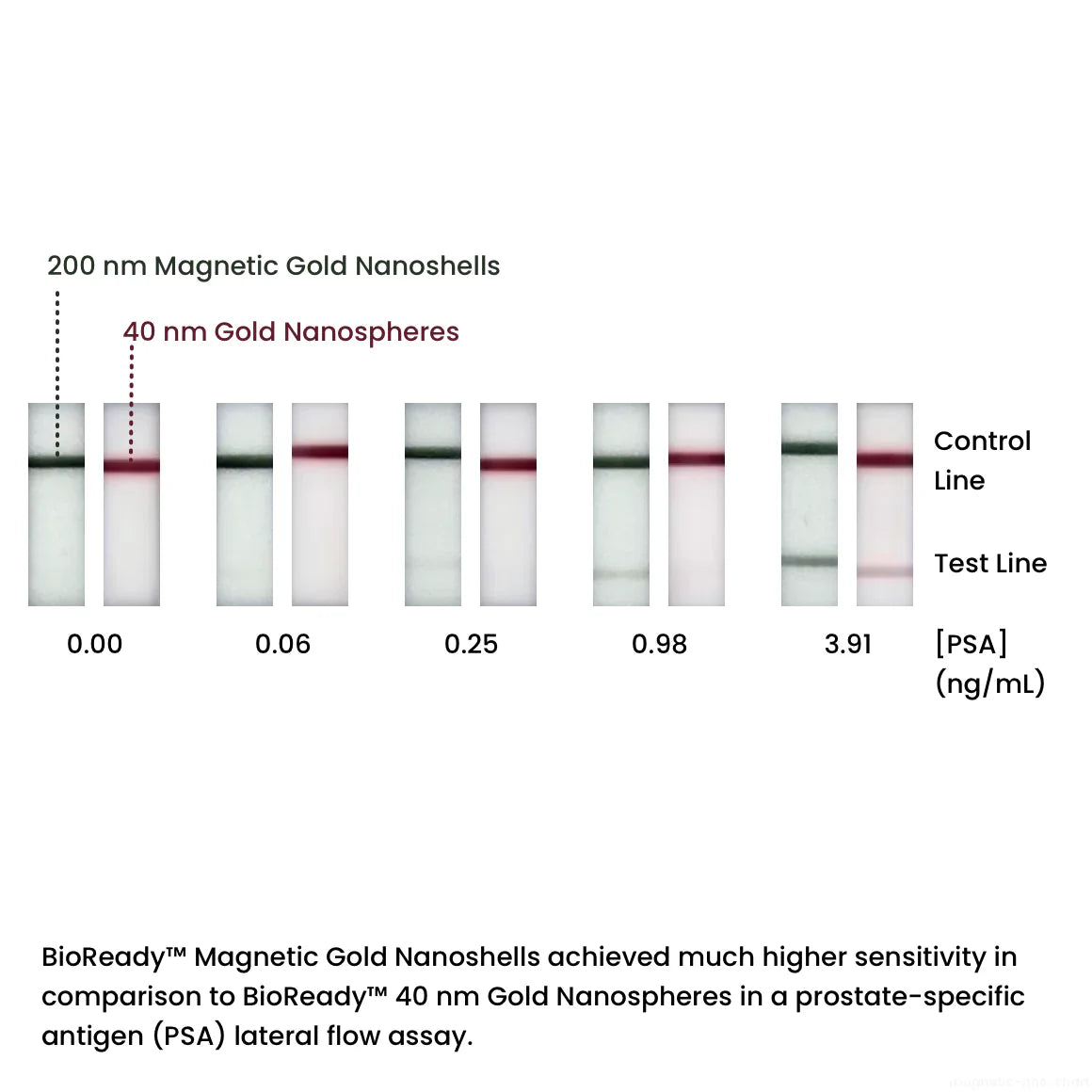BioReady-Magnetic-Gold-Nanoshells-–-COOH-200-nm-10-OD-1-–-50-mL.
