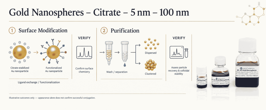 Citrate Gold nanospheres 5–100 nm infographic showing surface modification, purification, verification, and product vials