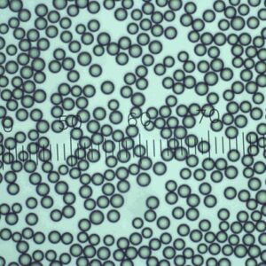 DC08-00220Backup20image201.jpg-6501