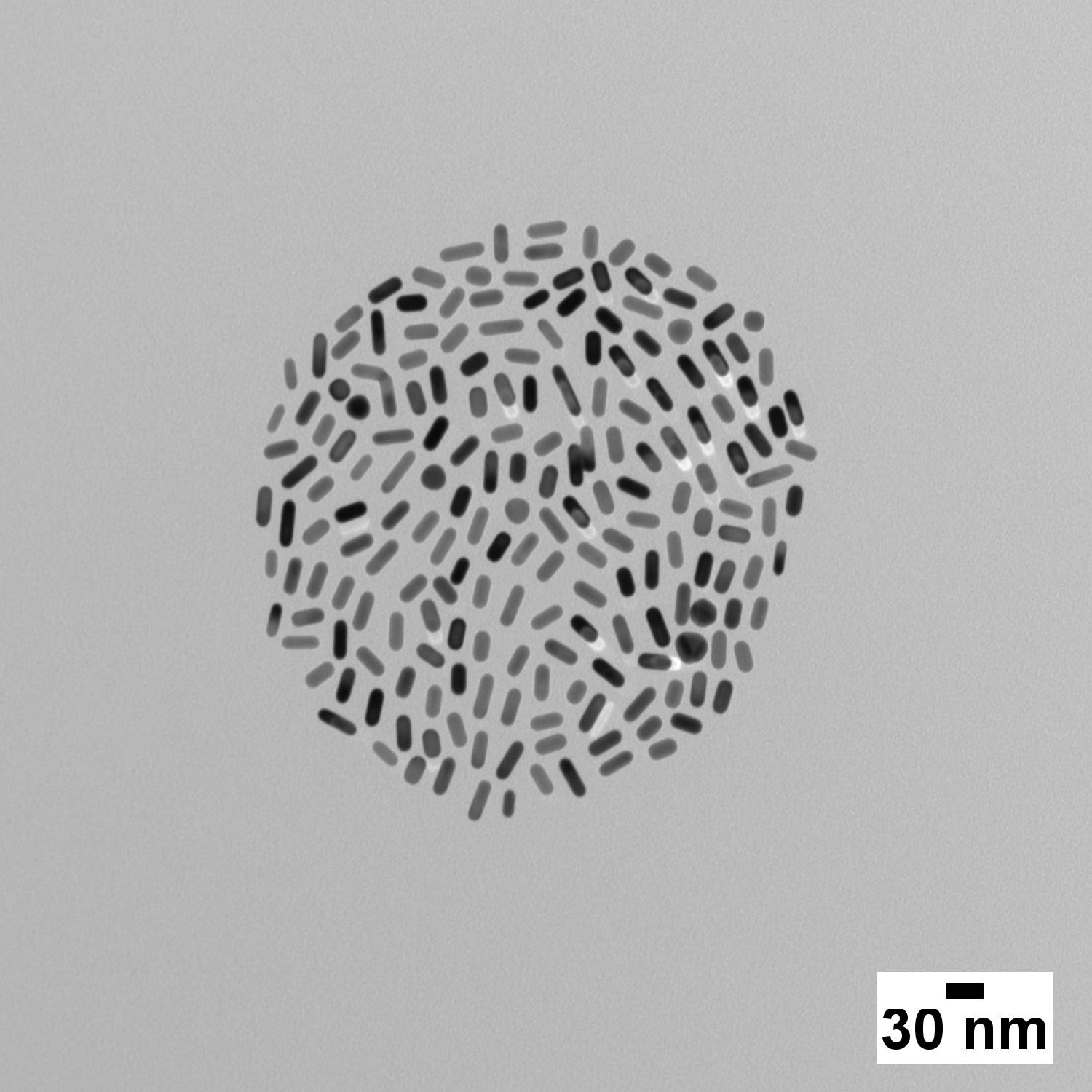Gold Nanorods - Citrate (Peak λ 650, 808, 980 nm; 1 OD- 50 OD) - Image 3