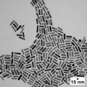 Gold Nanorods - PEG Coated (Peak λ 650 & 808 nm, 50 OD)