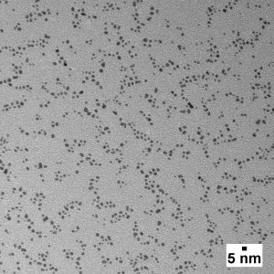 Gold Nanospheres - Dodecanethiol, Dried - 2 nm - 5 nm