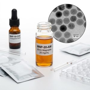 Magnetic Nanoparticles