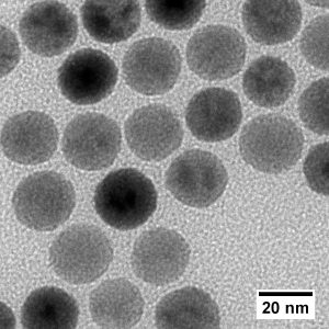 Magnetite Nanoparticles - PVP (20 nm; 20 mg/mL, 5 mL - 25 mL)