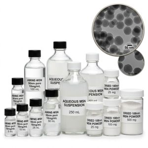 Mesoporous Silica Nanoparticles