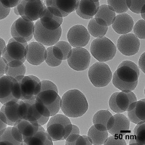 Mesoporous Silica Nanoparticles - (Dried, 100 nm; 25mg - 500 mg)