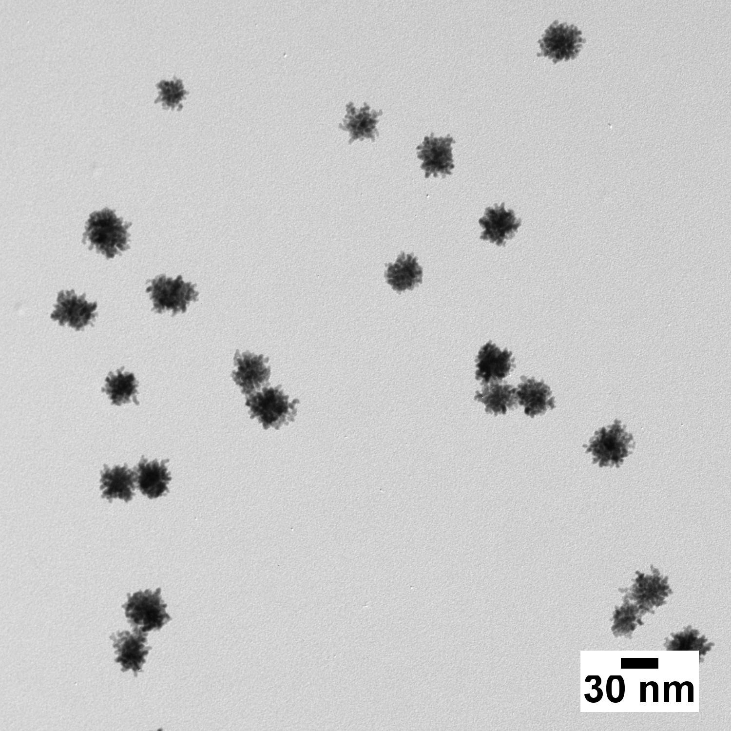 Platinum Nanoparticles - Citrate (5 nm - 70 nm; 1 mL – 1 L) - Image 2