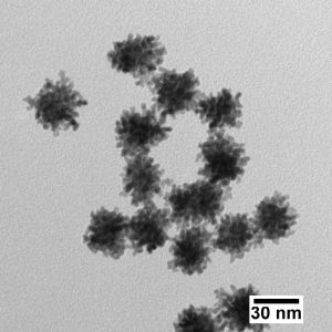 Platinum Nanoparticles - Citrate (5 nm - 70 nm; 1 mL – 1 L)