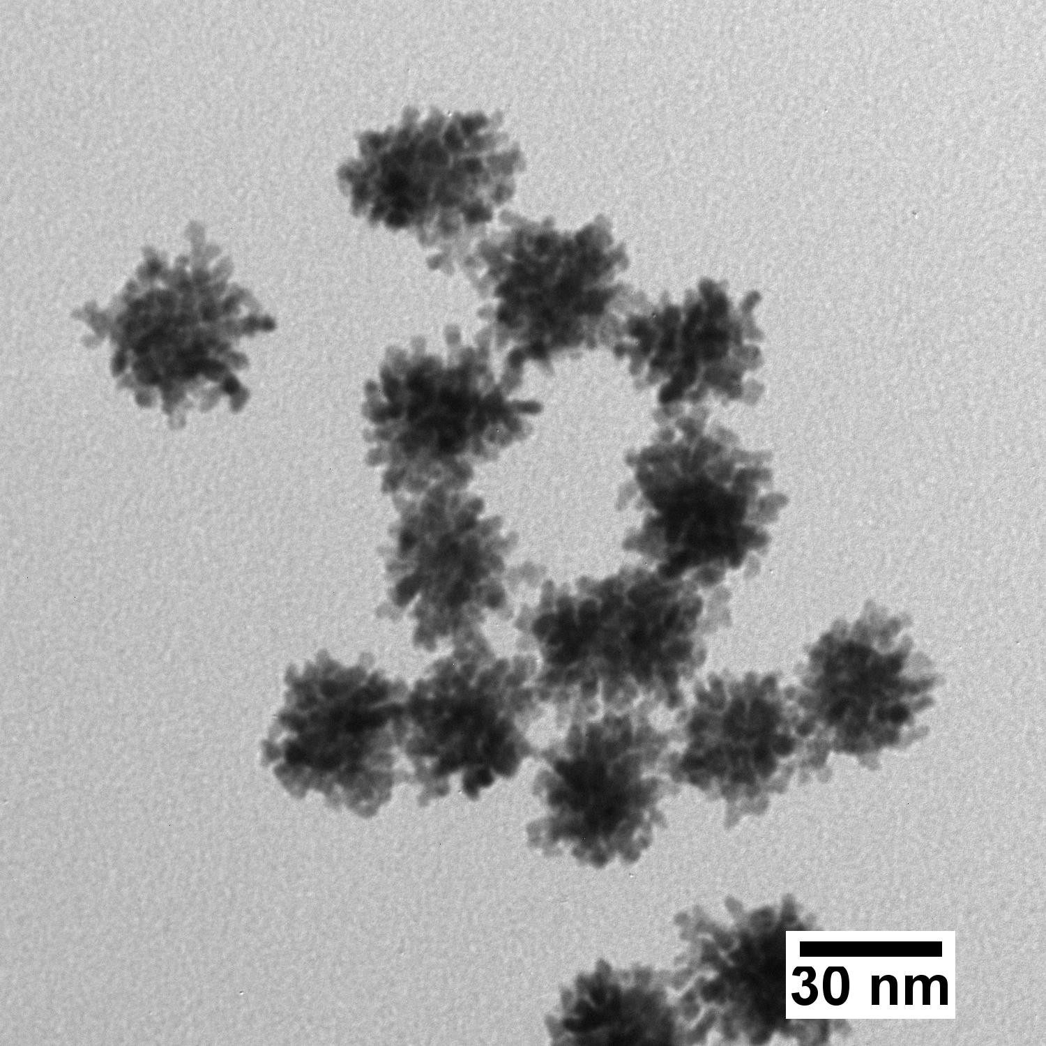 Platinum Nanoparticles - Citrate (5 nm - 70 nm; 1 mL – 1 L)