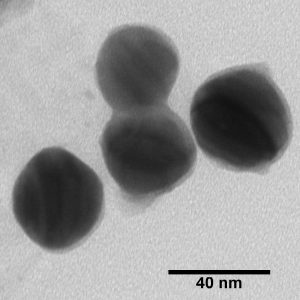 Silica-Coated Silver Nanospheres (SiO₂) - 1 mg/mL, 90 nm - 140 nm