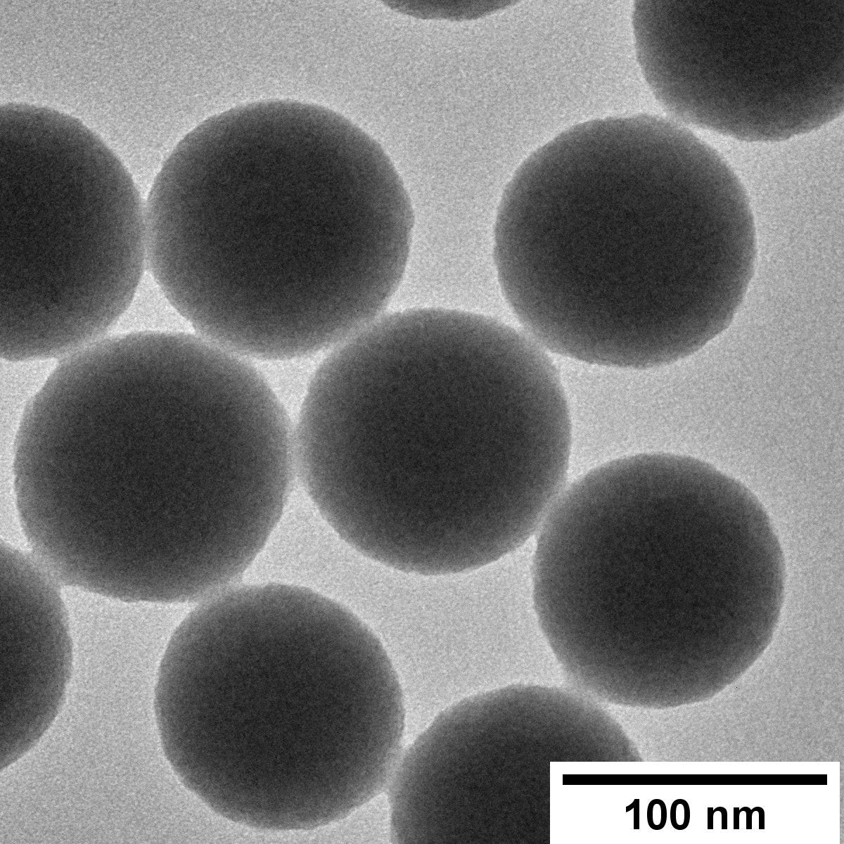 Silica Nanospheres - Solid Silica in Ethanol (Aminated) - Image 2