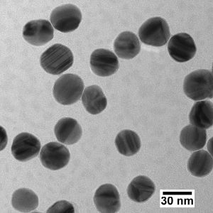 Silver Nanospheres - Citrate Stabilized