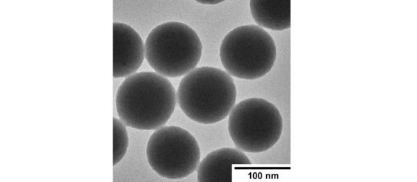 Ultrasonic Polymer-Coated spherical nanoparticles shown in grayscale microscopy image with a 100 nm scale bar