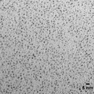 Gold Nanospheres - Dodecanethiol, Dried - 2 nm – 5 nm