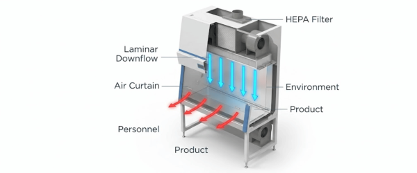 Biological Safety Cabinet showing HEPA filter, laminar downflow, air curtain and personnel/product airflow for contamination control