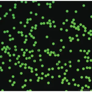 Dyed-Microspheres-–-green-fluorescent-UV-excitation-polystyrene-microspheres
