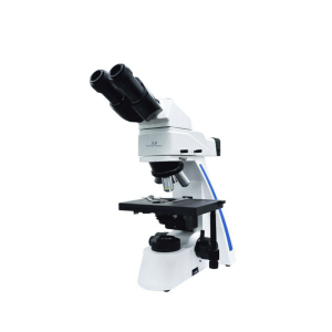 Fluorescence Biological Microscope BFM-31