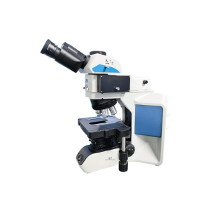 Fluorescence Biological Microscope BFM-43