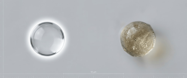 Fogger two spherical droplets side by side on a pale background, one clear and smooth, the other textured and opaque, microscopic scale