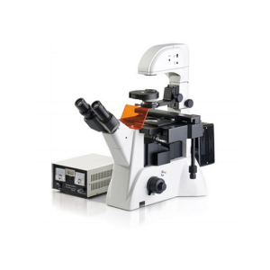 Inverted Fluorescence Microscope(Customized)