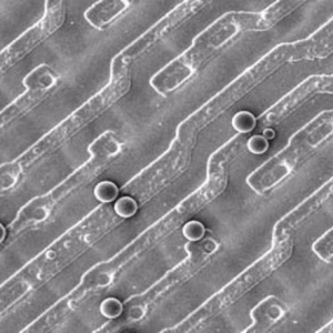 Polystyrene-Surf-Cal-47-nm-–-3.04-µm
