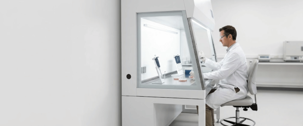 Scientist working inside a Biological Safety Cabinet, wearing lab coat and gloves while handling petri dishes and pipettes