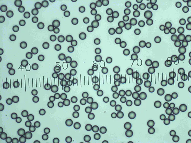 Uniform-Polymer-Microspheres-Polystyrene-DVB-NIST-Traceable-3-µm-10-µm