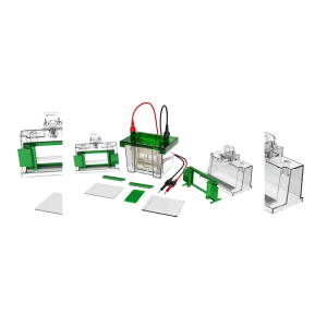 Vertical Electrophoresis Tank BK-VET01