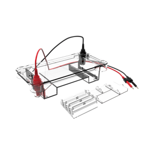Horizontal Electrophoresis Tank BK-HET02