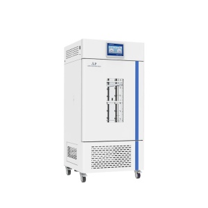 Mould Incubator(BJPX-MP)