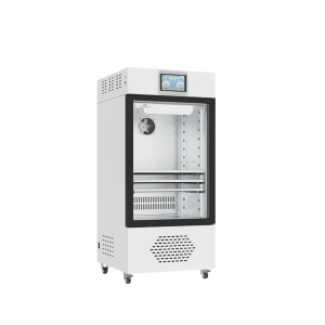 Multifunctional Incubator BJPX-Y100 BJPX-Y150 BJPX-Y200 BJPX-Y300