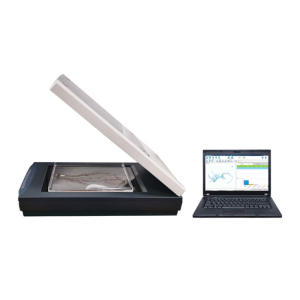 Root Scanner