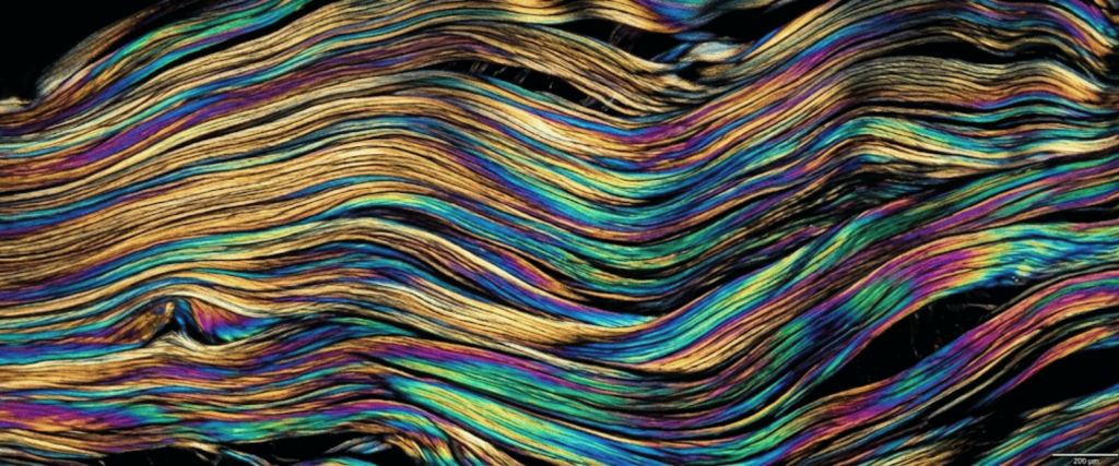 Polarized fiber structure under a polarizing biological microscope, showing colorful layered wave patterns and texture.