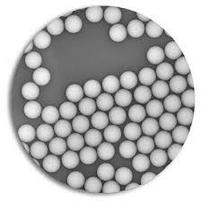 Uniform-Polymer-Microspheres-Polystyrene-DVB-NIST-Traceable-3-µm-10-µm
