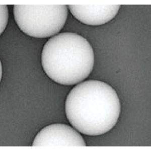 Count-Cal-Count-Precision-Size-Standards